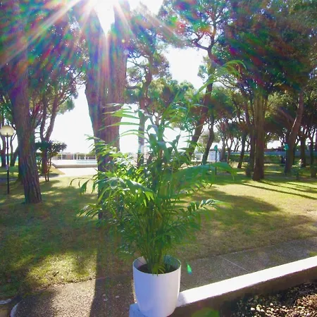 Park 1 - Immobiliare Apartment *